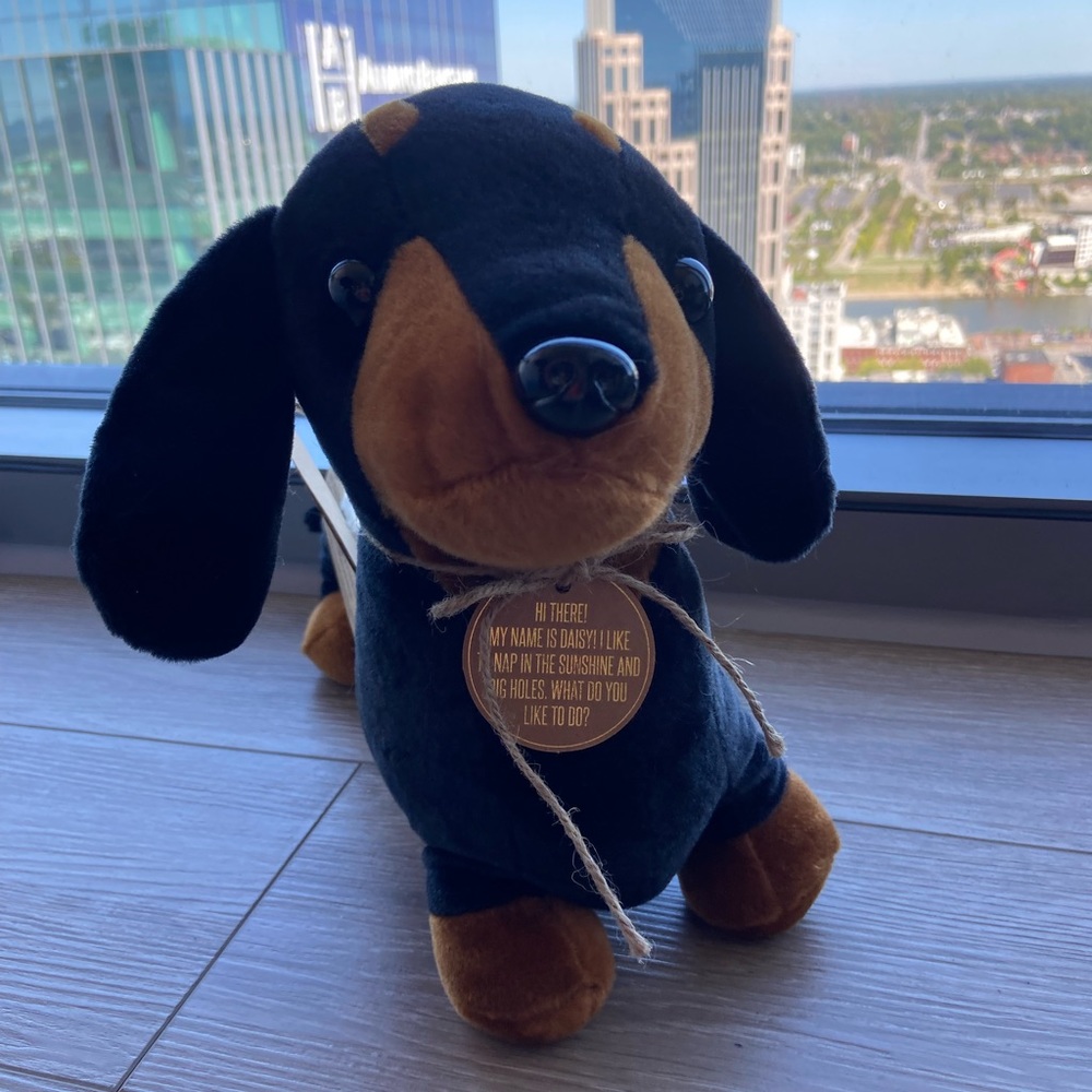 Dachshund heatable plush toy